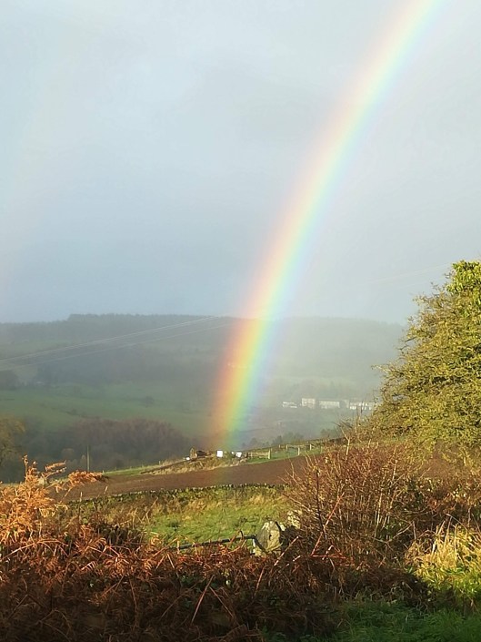 1E6CBAF6-E1D5-41B7-A929-A77454FCD6AB