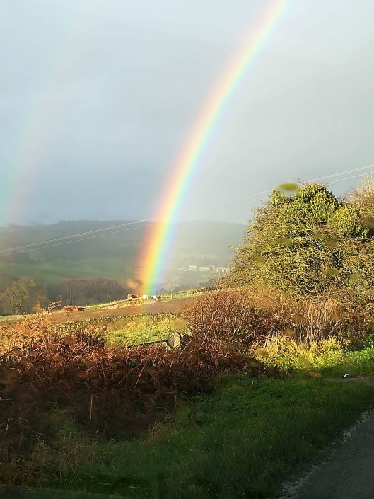 7DD06C9C-3958-4AA3-B7BE-112084605CCA