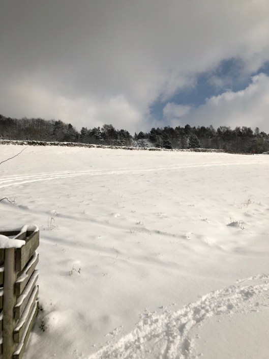 Looking up from the Bottom Tier