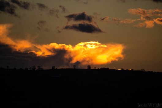 0E132E8D-1DF3-45A1-8542-12C7DE7A8402